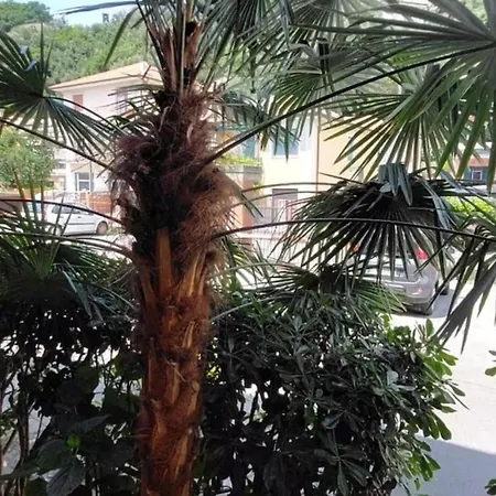 Il Quadrifoglio Bilocale Tra Lavagna E Chiavari Apartment