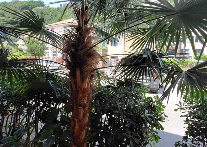 Il Quadrifoglio Bilocale Tra Lavagna E Chiavari Apartmán